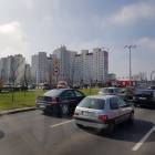 Fotka nr 5 z 6