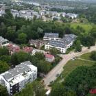 zdjęcie nr 10