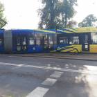 Fotka nr 5 z 7