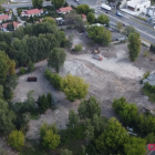 zdjęcie nr 