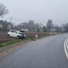 Fotka nr 2 z 4
