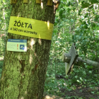 zdjęcie nr 8