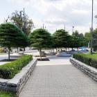 zdjęcie nr 7