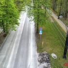 Fotka nr 5 z 8