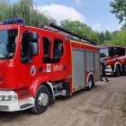 Fotka nr 5 z 6