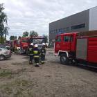 Fotka nr 2 z 7