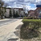 zdjęcie nr 7
