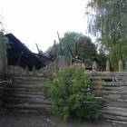 zdjęcie nr 11