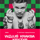 zdjęcie nr 10