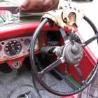 Fotka nr 2 z 8