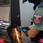 Fotka nr 3 z 4
