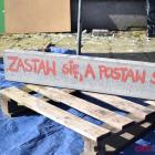 Fotka nr 4 z 8