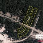 Fotka nr 1 z 11