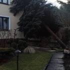 zdjęcie nr 7