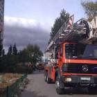 Fotka nr 2 z 4