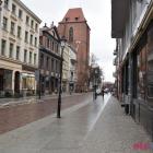 zdjęcie nr 22