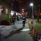 Fotka nr 5 z 7