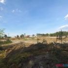 Fotka nr 5 z 12