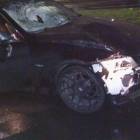 Fotka nr 3 z 8