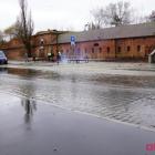 zdjęcie nr 10