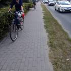 Fotka nr 1 z 5