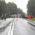 Fotka nr 2 z 10