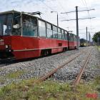 Fotka nr 4 z 19