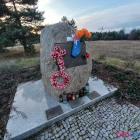 zdjęcie nr 10