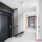 Fotka nr 2 z 27