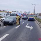 Fotka nr 5 z 7