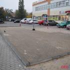 Fotka nr 5 z 8