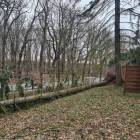 Fotka nr 3 z 10