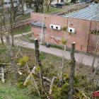 zdjęcie nr 7