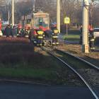 zdjęcie nr 13