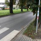 zdjęcie nr 8