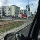 zdjęcie nr 8