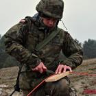 Fotka nr 1 z 4