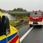 Fotka nr 2 z 5