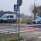 Fotka nr 2 z 4