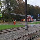 Fotka nr 2 z 4