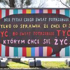 Fotka nr 5 z 11