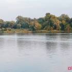Fotka nr 5 z 6