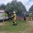 Fotka nr 5 z 10