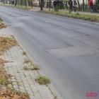 Fotka nr 4 z 21