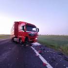 Fotka nr 2 z 4