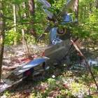 Fotka nr 3 z 11