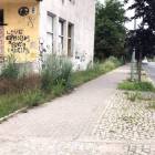 Fotka nr 2 z 5