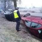 Fotka nr 5 z 7