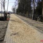 zdjęcie nr 8