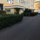 Fotka nr 5 z 9